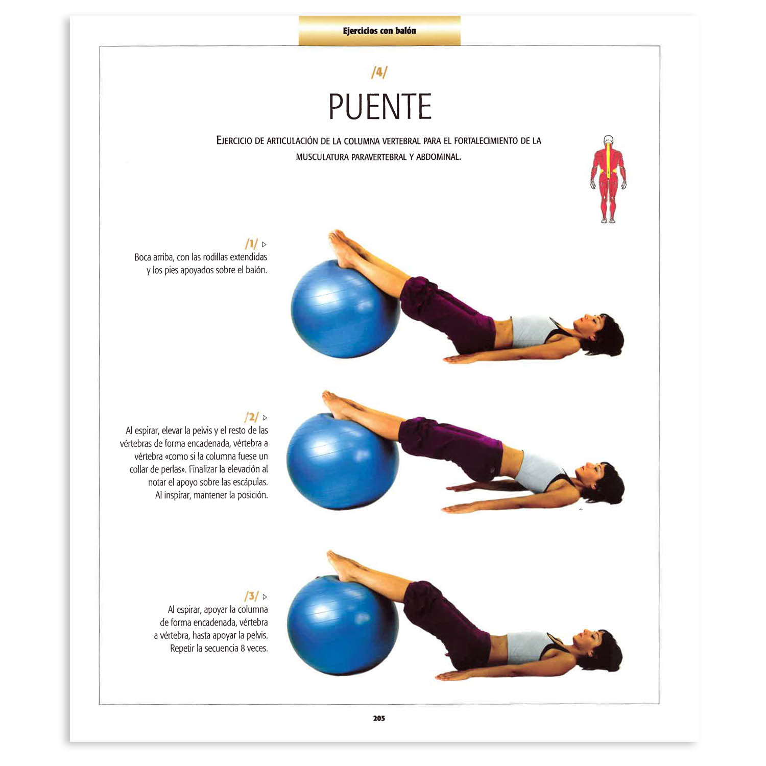 Atlas Ilustrado de Pilates - Imagen 2
