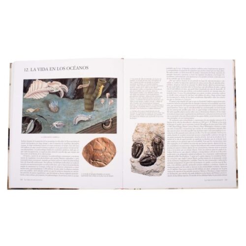 Atlas Ilustrado del Origen de la Vida