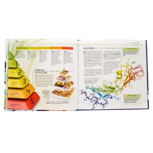 Cycling Preparación Física Del Ciclista