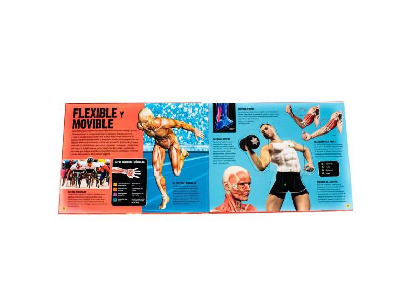 Desliza Y Descubra El Cuerpo Humano - Imagen 2