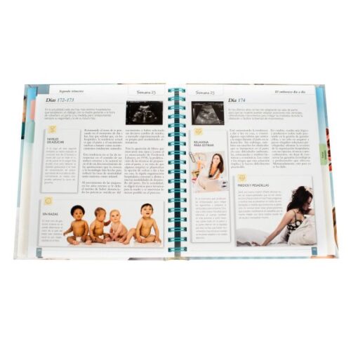 El Embarazo Día a Día