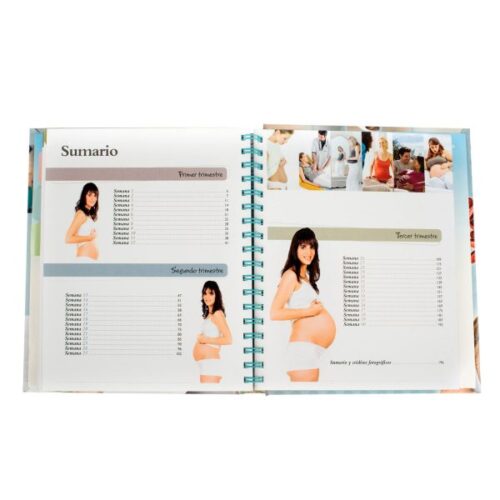 El Embarazo Día a Día