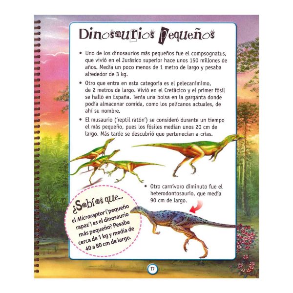 Explora Dinosaurios - Imagen 3