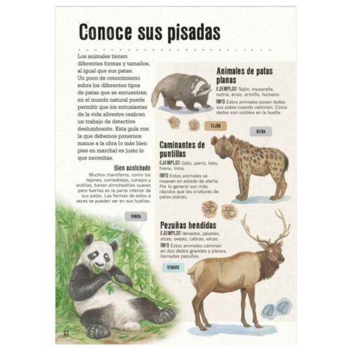 La pista está en la caca