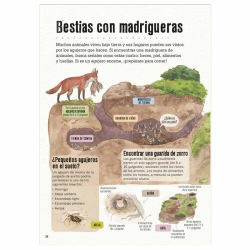 La pista está en la caca