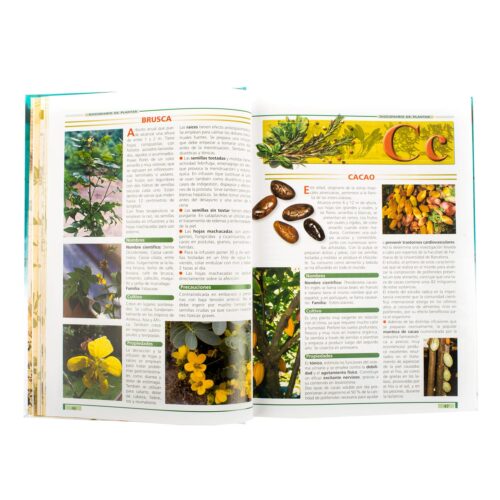 Las Plantas Curativas