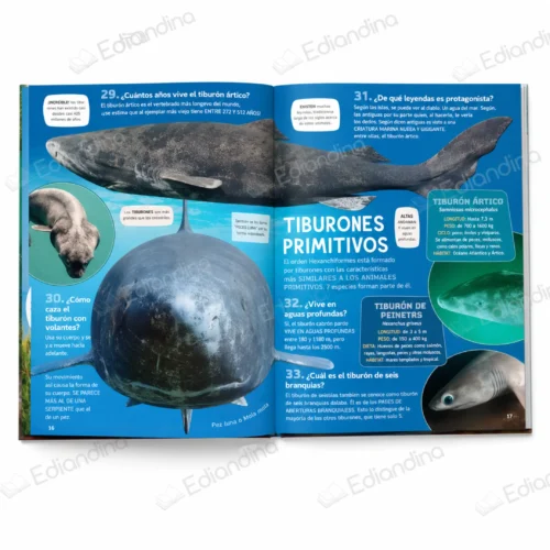 Libro Todo sobre los Tiburones – 100...