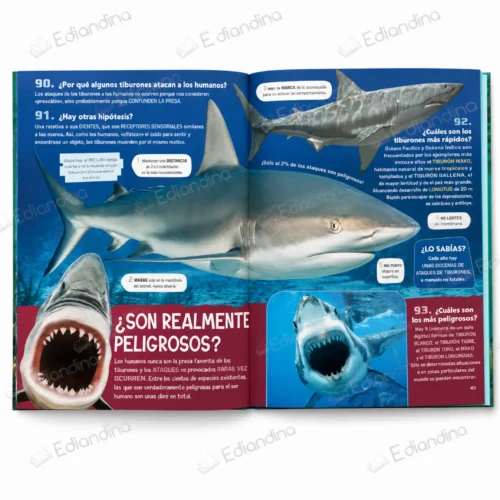 Libro Todo sobre los Tiburones – 100...