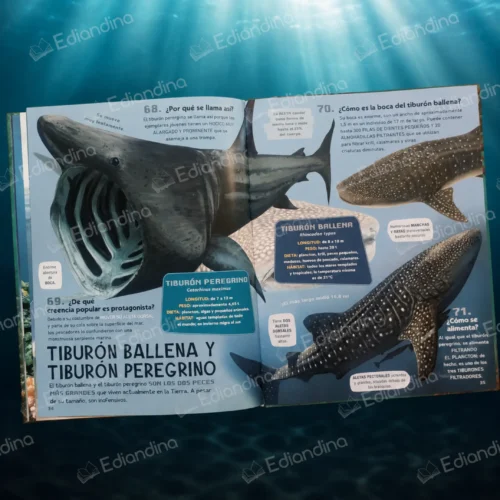 Libro Todo sobre los Tiburones – 100...